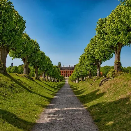 Muehlenblick * Klutz